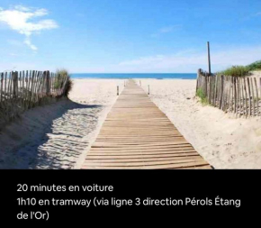 APPARTEMENT 3 PIÈCES avec netflix et canal